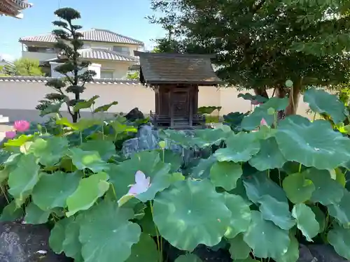 西林寺(愛媛県)