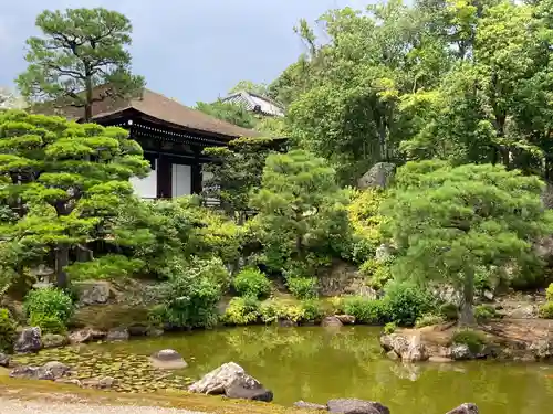 仁和寺(京都府)