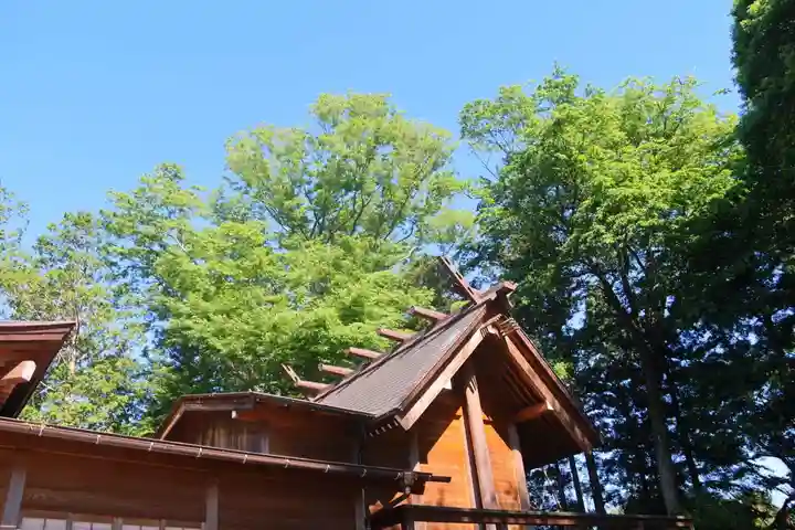 阿久津「田村神社」(郡山市阿久津町)旧社名:伊豆箱根三嶋三社の本殿・本堂