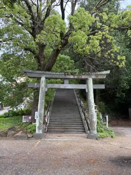 伊豆山神社の{uncategorized: "未分類", other: "その他", undefined: "問題あり", building: "その他建物", grave: "お墓", sacred_gate: "鳥居", guardian: "狛犬", statue: "像", buddha: "仏像", history: "歴史", nature: "自然", garden: "庭園", animal: "動物", pagoda: "塔", temizu: "手水舎", mountain_gate: "山門・神門", sanctuary: "本殿・本堂", subordinate: "末社・摂社", art: "芸術", scenery: "景色", jizo: "地蔵", ema: "絵馬", goshuin: "御朱印", omikuji: "おみくじ", items: "授与品その他", amulet: "お守り", goshuincho: "御朱印帳", eats: "食事", festival: "お祭り", votive_dance: "神楽", shichigosan: "七五三参", wedding: "結婚式", experience: "体験その他", initially: "初詣", around: "周辺", anti_infection: "感染症対策"}