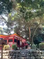 井草八幡宮の本殿