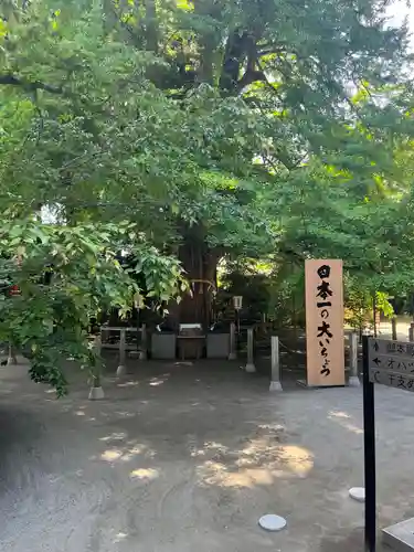 水戸八幡宮(茨城県)