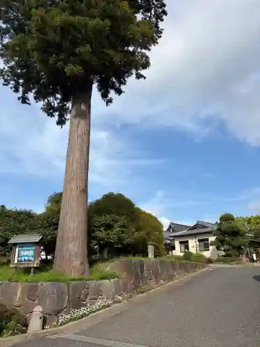 善雄寺の{uncategorized: "未分類", other: "その他", undefined: "問題あり", building: "その他建物", grave: "お墓", sacred_gate: "鳥居", guardian: "狛犬", statue: "像", buddha: "仏像", history: "歴史", nature: "自然", garden: "庭園", animal: "動物", pagoda: "塔", temizu: "手水舎", mountain_gate: "山門・神門", sanctuary: "本殿・本堂", subordinate: "末社・摂社", art: "芸術", scenery: "景色", jizo: "地蔵", ema: "絵馬", goshuin: "御朱印", omikuji: "おみくじ", items: "授与品その他", amulet: "お守り", goshuincho: "御朱印帳", eats: "食事", festival: "お祭り", votive_dance: "神楽", shichigosan: "七五三参", wedding: "結婚式", experience: "体験その他", initially: "初詣", around: "周辺", anti_infection: "感染症対策"}