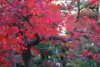 開成山大神宮の自然