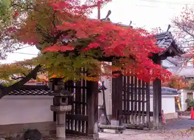 離宮八幡宮(京都府)
