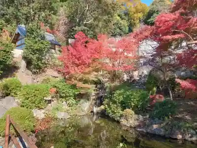 慈眼寺(大阪府)