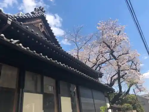 専称寺のその他建物