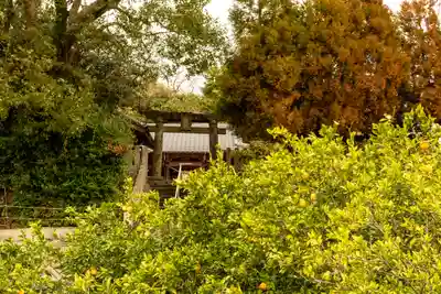 河内阿蘇神社(熊本県)