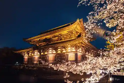 東寺（教王護国寺）の本殿・本堂