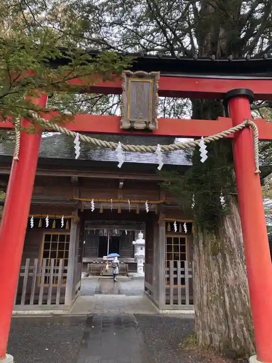 淺間神社(忍野八海)の鳥居