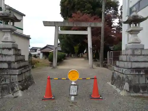 津島神社の鳥居