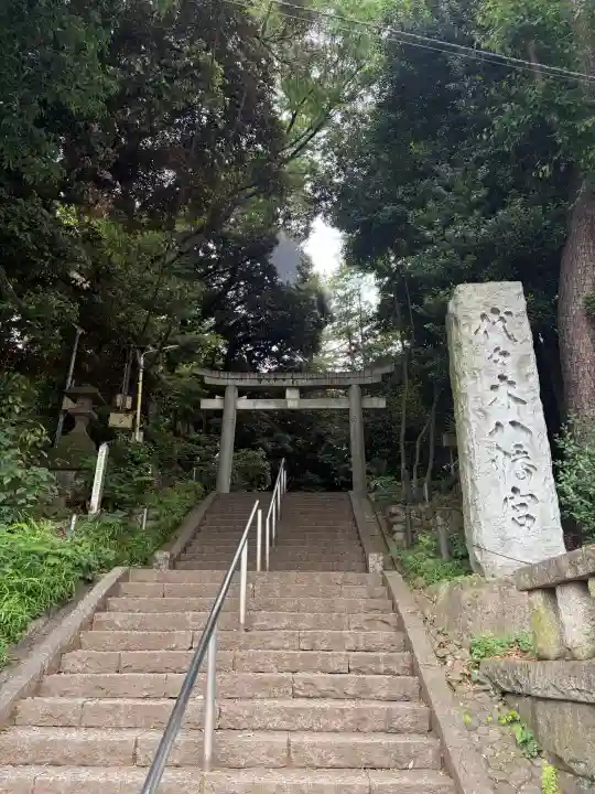 代々木八幡宮の{uncategorized: "未分類", other: "その他", undefined: "問題あり", building: "その他建物", grave: "お墓", sacred_gate: "鳥居", guardian: "狛犬", statue: "像", buddha: "仏像", history: "歴史", nature: "自然", garden: "庭園", animal: "動物", pagoda: "塔", temizu: "手水舎", mountain_gate: "山門・神門", sanctuary: "本殿・本堂", subordinate: "末社・摂社", art: "芸術", scenery: "景色", jizo: "地蔵", ema: "絵馬", goshuin: "御朱印", omikuji: "おみくじ", items: "授与品その他", amulet: "お守り", goshuincho: "御朱印帳", eats: "食事", festival: "お祭り", votive_dance: "神楽", shichigosan: "七五三参", wedding: "結婚式", experience: "体験その他", initially: "初詣", around: "周辺", anti_infection: "感染症対策"}