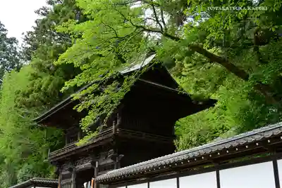 大悲願寺のその他建物