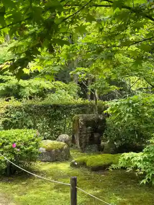 教林坊の{uncategorized: "未分類", other: "その他", undefined: "問題あり", building: "その他建物", grave: "お墓", sacred_gate: "鳥居", guardian: "狛犬", statue: "像", buddha: "仏像", history: "歴史", nature: "自然", garden: "庭園", animal: "動物", pagoda: "塔", temizu: "手水舎", mountain_gate: "山門・神門", sanctuary: "本殿・本堂", subordinate: "末社・摂社", art: "芸術", scenery: "景色", jizo: "地蔵", ema: "絵馬", goshuin: "御朱印", omikuji: "おみくじ", items: "授与品その他", amulet: "お守り", goshuincho: "御朱印帳", eats: "食事", festival: "お祭り", votive_dance: "神楽", shichigosan: "七五三参", wedding: "結婚式", experience: "体験その他", initially: "初詣", around: "周辺", anti_infection: "感染症対策"}