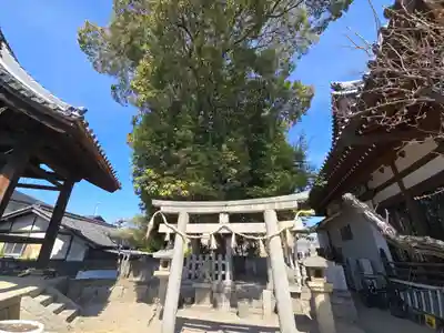 光林寺(大阪府)