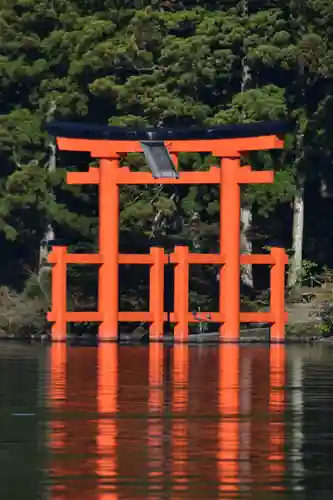 箱根神社の鳥居