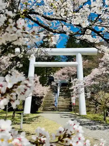 土津神社｜こどもと出世の神さまの鳥居