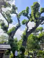 幸福神社(宮崎県)
