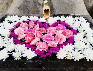 差出磯大嶽山神社 仕事と健康と厄よけの神さまの手水舎 2023年02月01日(水)〜(2023年01月31日(火) 15時33分34秒投稿)