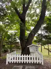 沼ノ端神社(北海道)