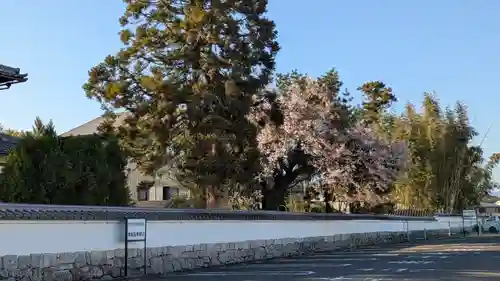 聖衆来迎寺(滋賀県)