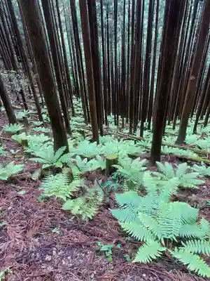 大峯山寺(奈良県)