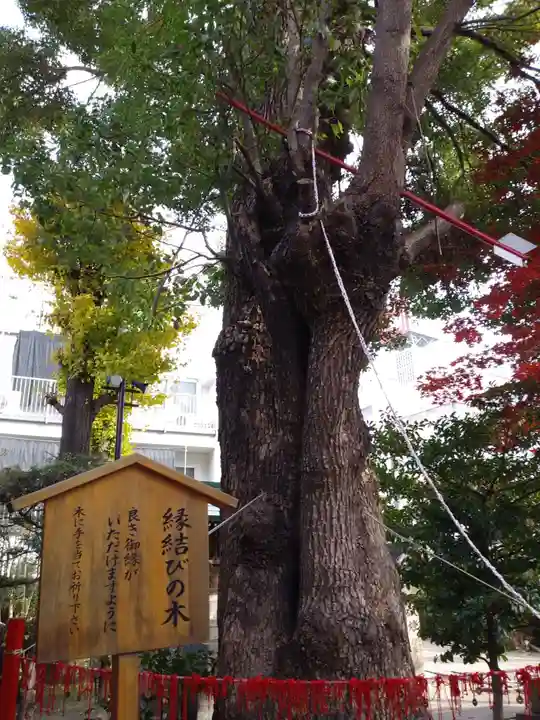 三輪神社の自然