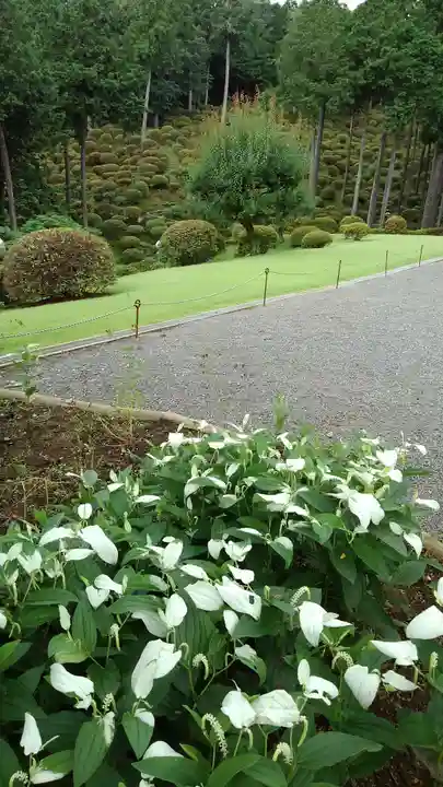 七国山薬王寺の庭園