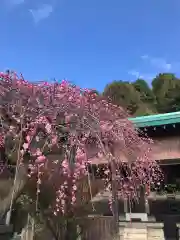 藤ノ木白山神社の自然