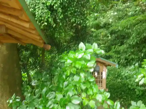 蛇苦止明神（蛇苦止堂）の自然