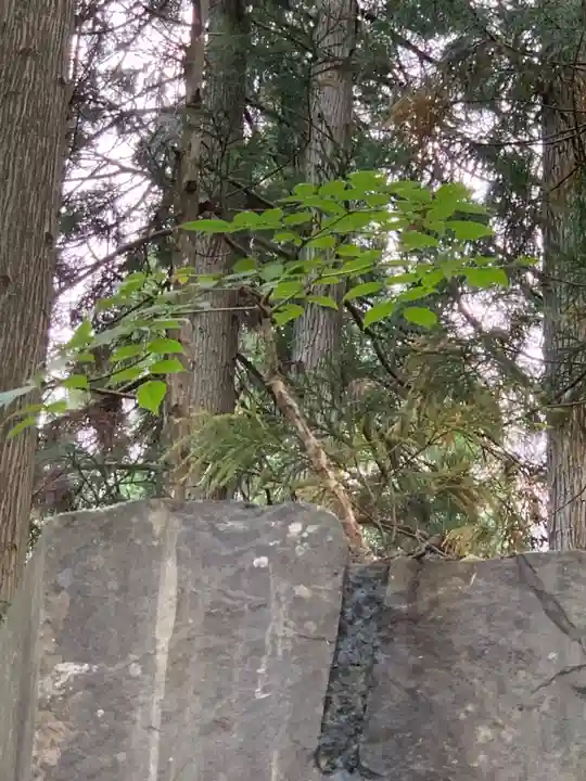 八坂神社(岩手県)