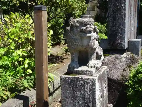 今市報徳二宮神社の狛犬