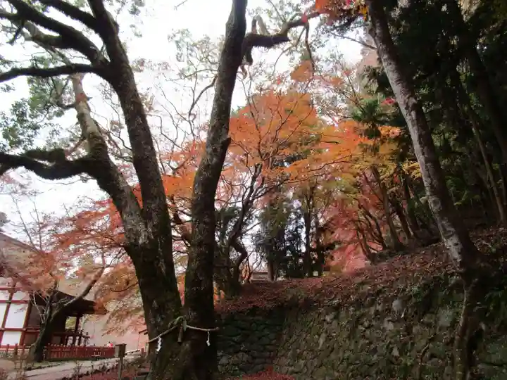 談山神社(奈良県)