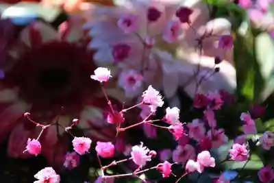 豊景神社の手水舎