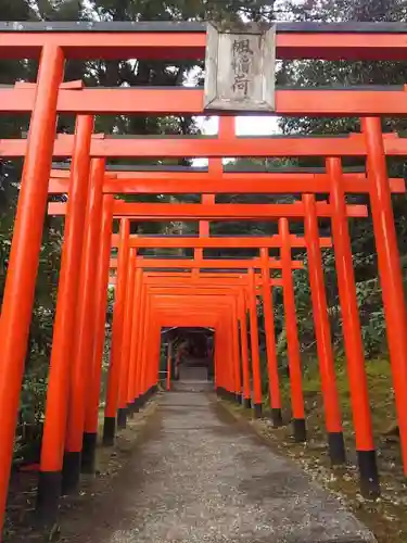 伊奈波神社の鳥居