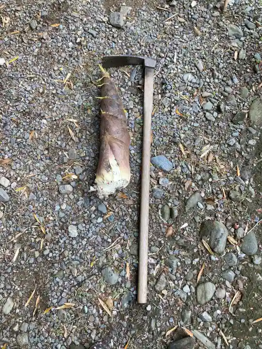 白山神社の自然