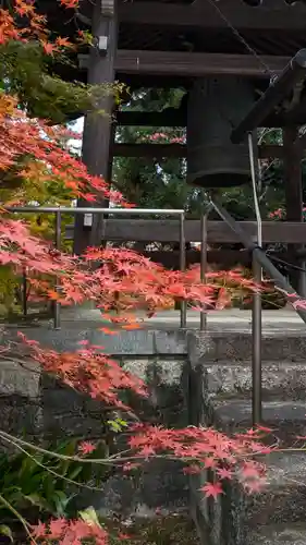 興聖寺(京都府)