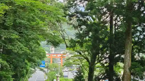 箱根神社(神奈川県)