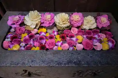 菅生神社(愛知県)