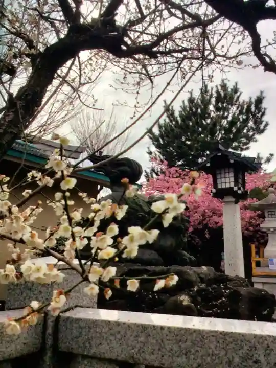 新宿下落合氷川神社(東京都)