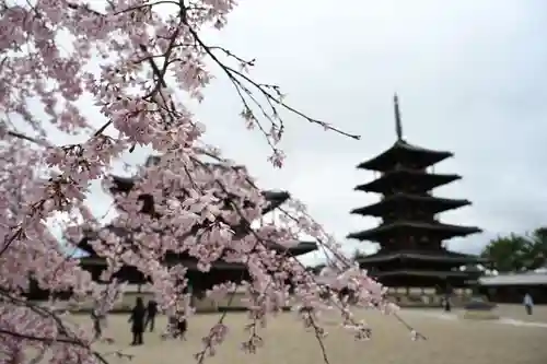 法隆寺(奈良県)