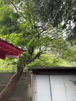 宝玉稲荷神社の{uncategorized: "未分類", other: "その他", undefined: "問題あり", building: "その他建物", grave: "お墓", sacred_gate: "鳥居", guardian: "狛犬", statue: "像", buddha: "仏像", history: "歴史", nature: "自然", garden: "庭園", animal: "動物", pagoda: "塔", temizu: "手水舎", mountain_gate: "山門・神門", sanctuary: "本殿・本堂", subordinate: "末社・摂社", art: "芸術", scenery: "景色", jizo: "地蔵", ema: "絵馬", goshuin: "御朱印", omikuji: "おみくじ", items: "授与品その他", amulet: "お守り", goshuincho: "御朱印帳", eats: "食事", festival: "お祭り", votive_dance: "神楽", shichigosan: "七五三参", wedding: "結婚式", experience: "体験その他", initially: "初詣", around: "周辺", anti_infection: "感染症対策"}