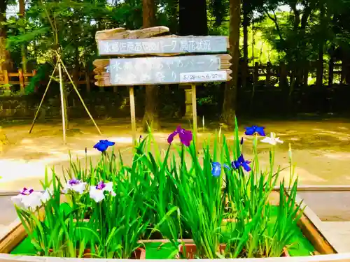 香取神宮の庭園