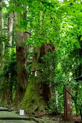 白山比咩神社(石川県)