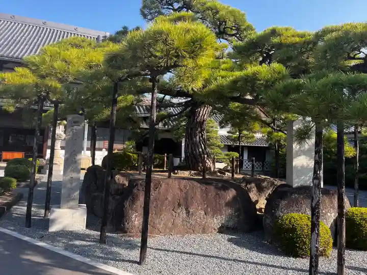 花岳寺の自然