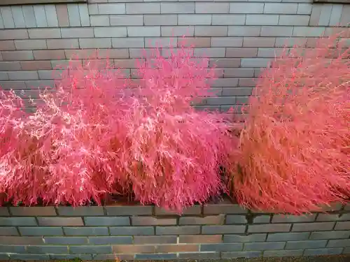 当別神社の自然