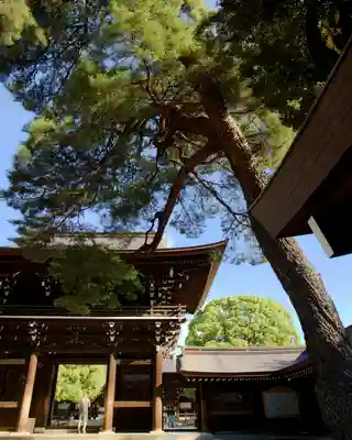 明治神宮(東京都)