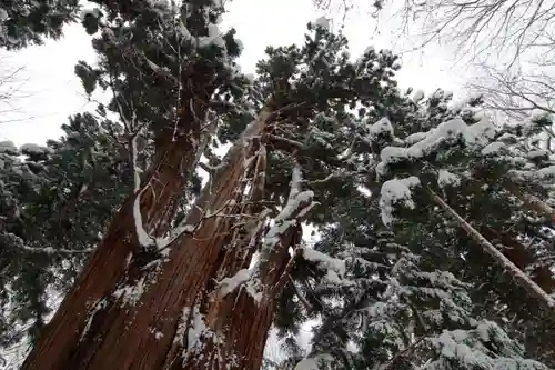 磐椅神社の自然
