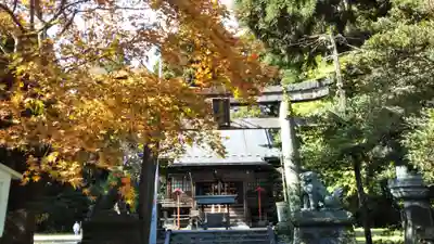 今市瀧尾神社の鳥居