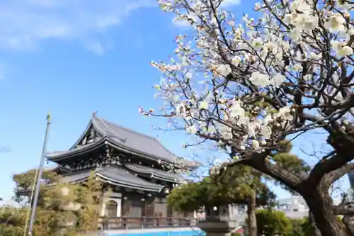 燈明寺(東京都)